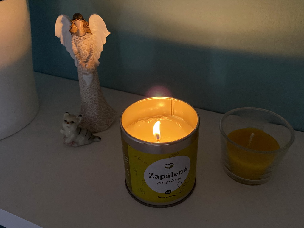Econea vonná svíčka v plechovce - Zapálená pro přírodu | přírodní svíčka s vůní dřeva a koření